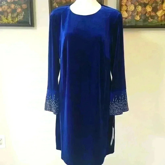 Calvin Klein Velvet Dress - Picture 1 of 15